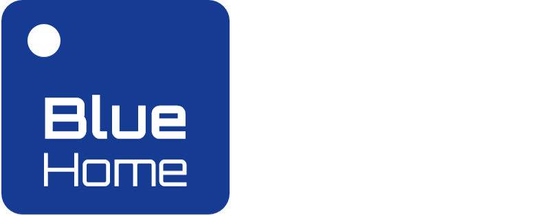 Logo BlueH alargado